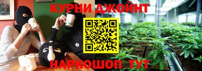 шишки Краснознаменск